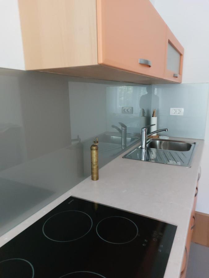 Apartma Sava-Stol Jesenice Exteriör bild